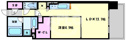 【間取り】 | OPUS RESIDENCE SHINSAIBASHI SOUTH　間取り