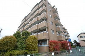 グレイスコート