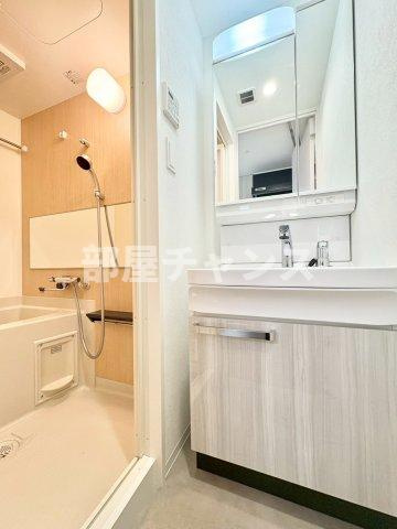 プレサンス太閤通駅前デュプルの洗面所