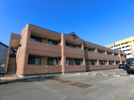 エレガントモレノの画像