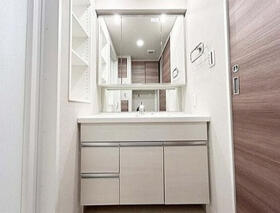 フェアリーガーデン横濱阪東橋の洗面所|洗面台です。