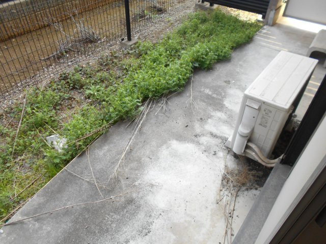 KAZU市川のバルコニー