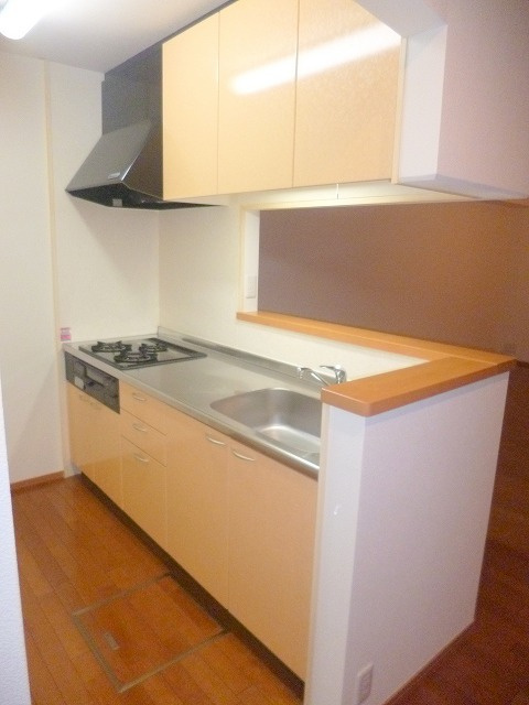 オークヒル　Ｓ棟のキッチン|グリル付き3口キッチン