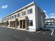 アンジェリーナの画像