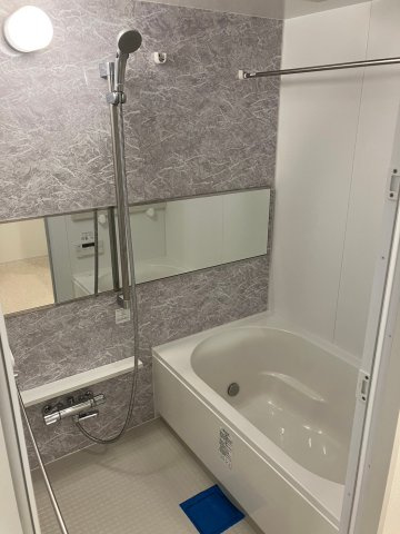 GENOVIA墨田八広skygardenの浴室