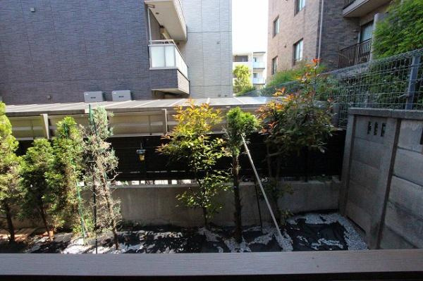 エルミタージュの展望