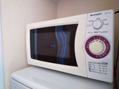 【その他】 | レオパレスカーニバルⅡ | 電子レンジ