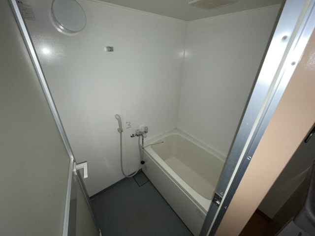 シャトル岩園の浴室