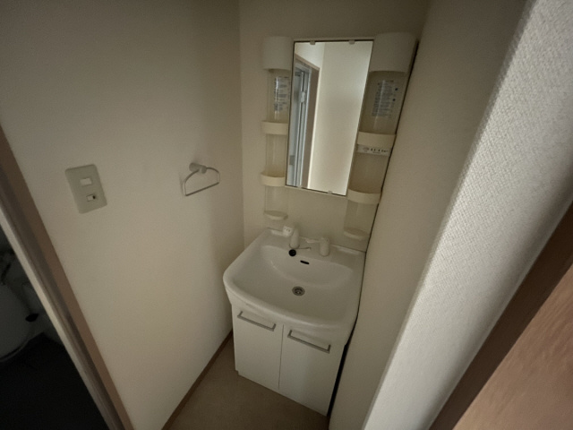 シャトル岩園の洗面所