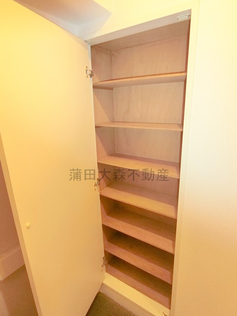 日神パレステージ大森第2の収納|玄関シューズボックス