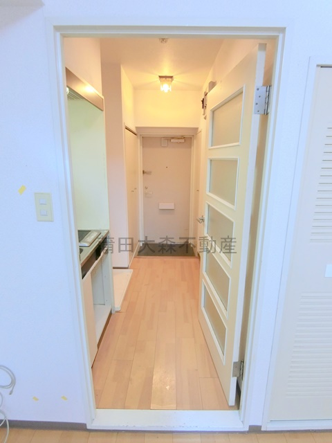 日神パレステージ大森第2の設備|廊下