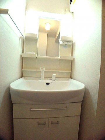 メゾン・グレイスＢの洗面所