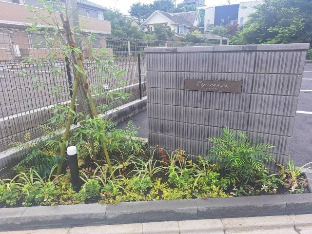 Ｅｓｐｅｒａｎｚａの展望