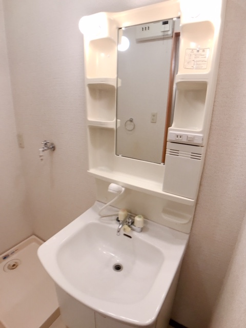 大留ハイツA棟の洗面所