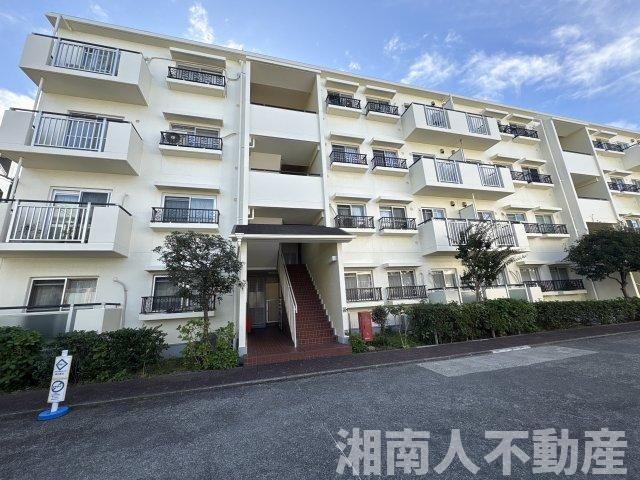 サンビーチ平塚2号棟