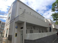 フェリスアベリアの画像