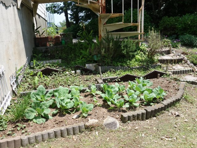リゾートパーク伊豆あたがわのその他|菜園スペース