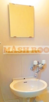 コーポグランデュールの洗面所