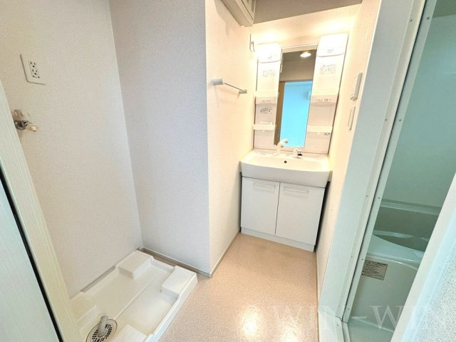 フェリースの洗面所