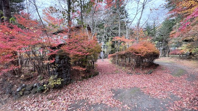 新軽井沢 矢ヶ崎エリア 新渡戸通り沿い 古屋付土地