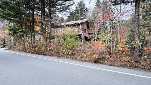 新軽井沢 矢ヶ崎エリア 新渡戸通り沿い 古屋付土地の前面道路含む現地写真