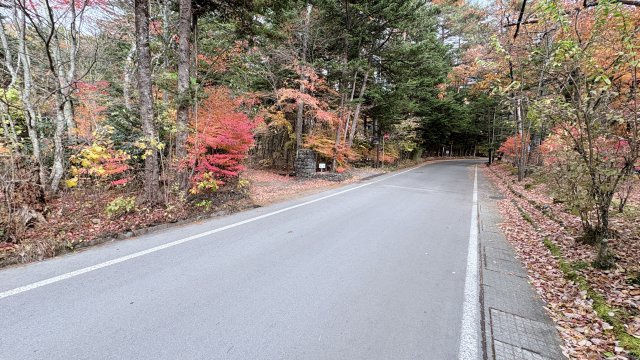 新軽井沢 矢ヶ崎エリア 新渡戸通り沿い 古屋付土地の前面道路含む現地写真