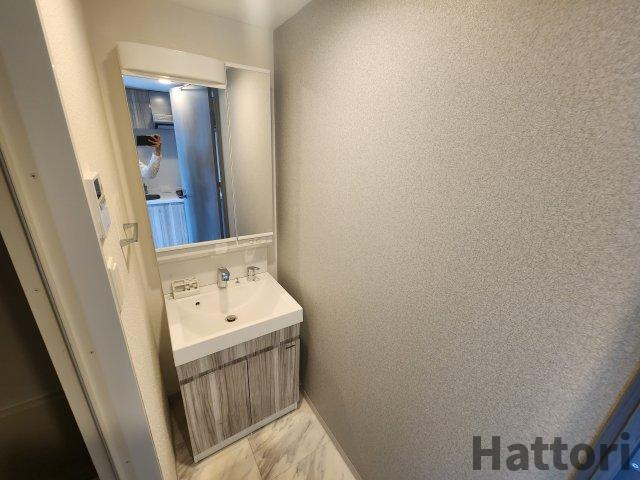 LaDouceur江坂Ⅱの独立洗面台