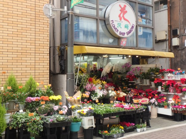 ハーモニーフロント中板橋