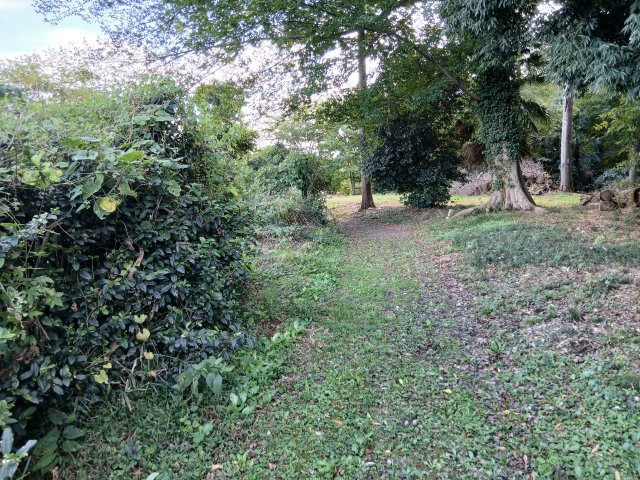 東松山市石橋　土地484坪の前面道路含む現地写真|西側の道