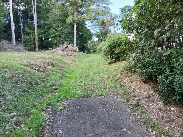 東松山市石橋　土地484坪の前面道路含む現地写真|西側の道