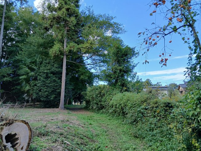 東松山市石橋　土地484坪の前面道路含む現地写真|西側の道