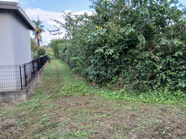 東松山市石橋　土地484坪の前面道路含む現地写真|北側の道（西から東）