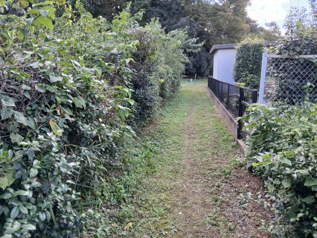 東松山市石橋　土地484坪の前面道路含む現地写真|北側の道（東から西）