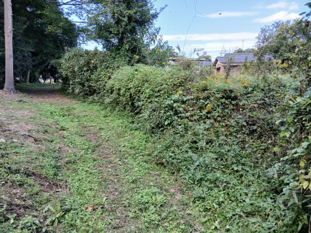 東松山市石橋　土地484坪の外観