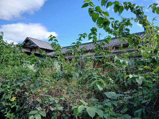 東松山市石橋　土地484坪の外観|宅地部分（古家あり）※古家は見れません。居住不可。