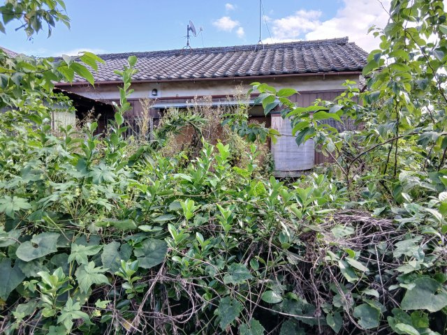 東松山市石橋　土地484坪の外観|宅地部分（古家あり）※古家は見れません。居住不可。