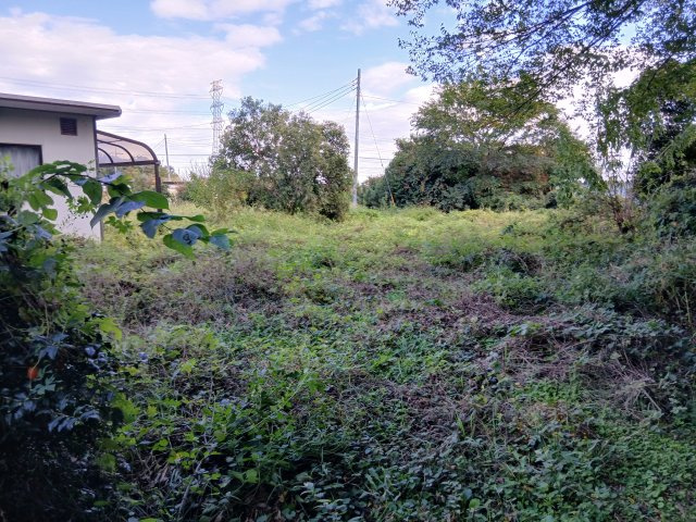 東松山市石橋　土地484坪の外観|畑部分（南の方から）