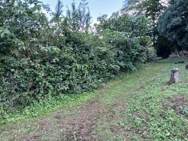 東松山市石橋　土地484坪の前面道路含む現地写真|西側の道