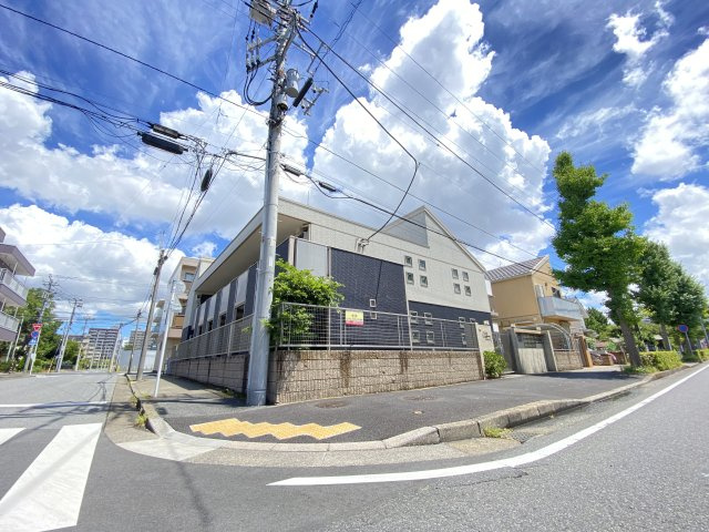 ベルメゾンTの画像