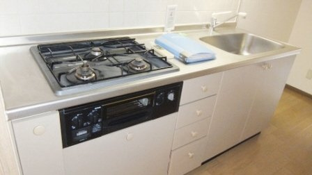 ＩＳＩＩビルのキッチン|グリル付きシステムキッチンついています