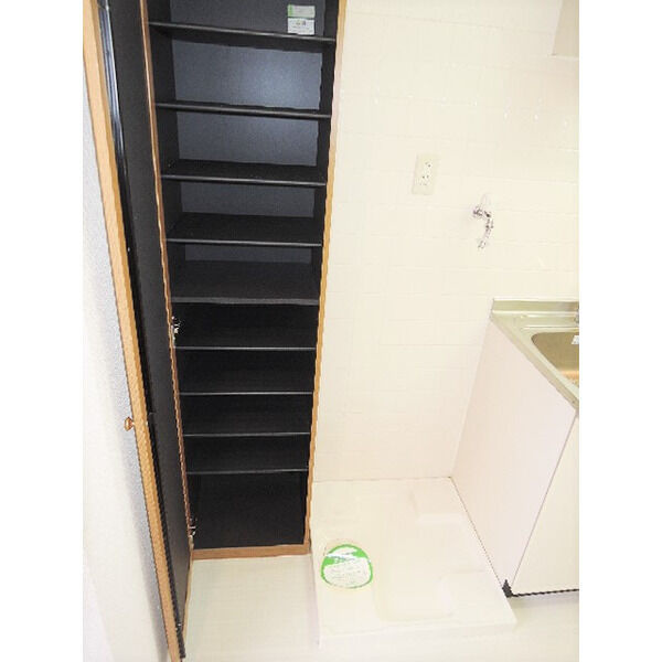 小石川ガーデンハウスの設備|室内洗濯機置場　※別室参考写真です。