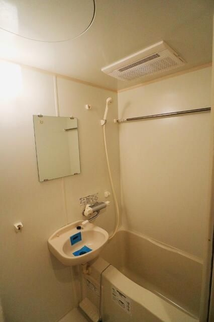 ドルチェ東京向島の浴室