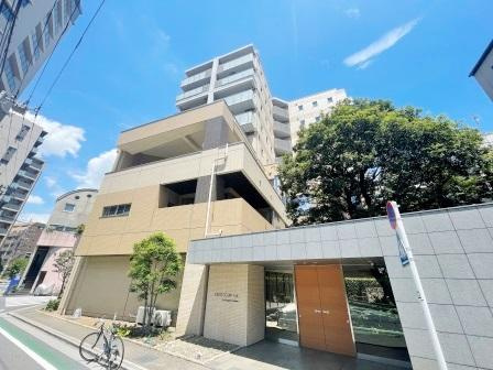 セルティスコート