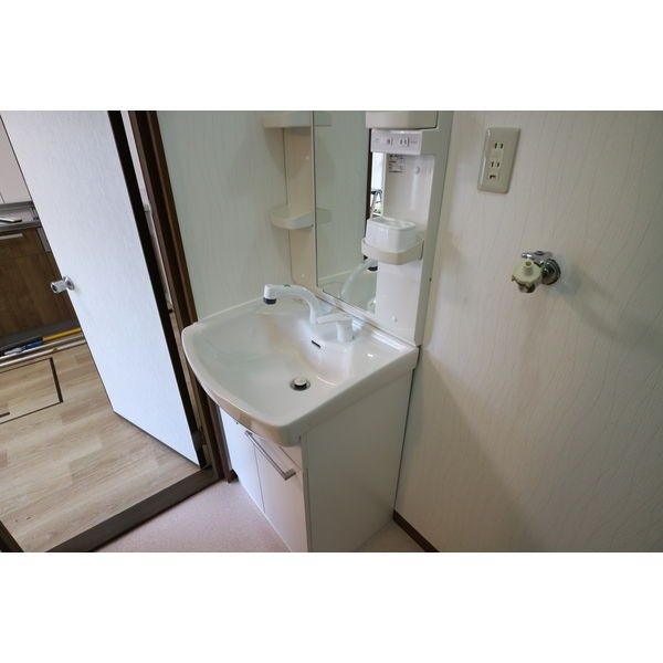 八反貸家　南の洗面所