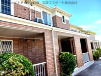 サザン　クロスの画像