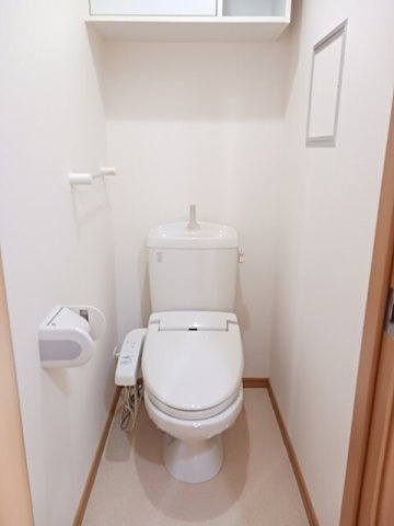 ティファニーハイツ　Ⅱのトイレ|落ち着いた色調のトイレです