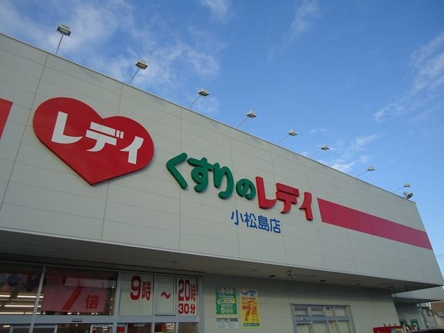 ヴィラ・ファミールＡの周辺|レディ薬局小松島店様まで1000m