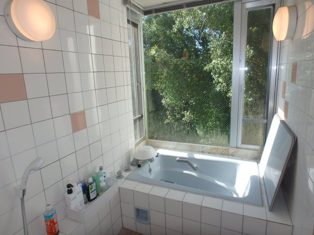 S1746M　リゾート129碁石が浜パートⅢの浴室