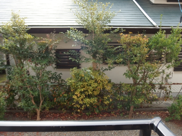 サンハイツセジュールＥの展望
