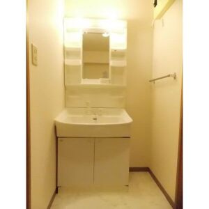 名古屋市守山区桔梗平１丁目の賃貸マンションの洗面所